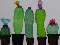 Veronika Richterova Plastic Bottle Cacti